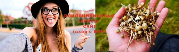 крисы Медногорск