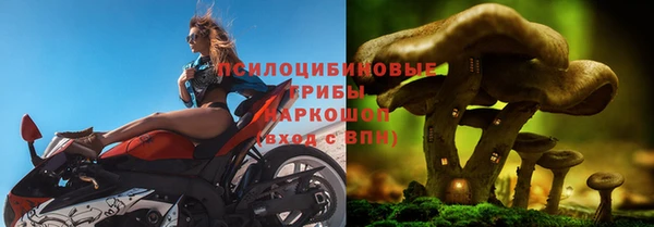 крисы Медногорск