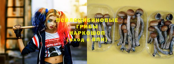 мет Медвежьегорск